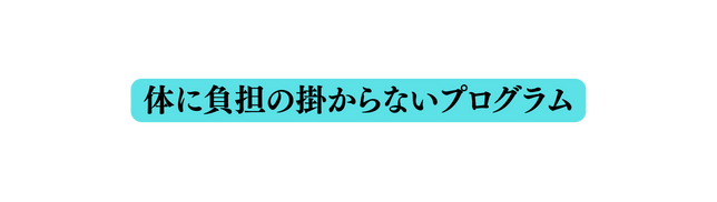 体に負担の掛からないプログラム